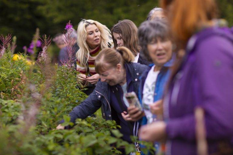 foraging participants picking wild berries