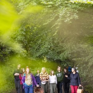 a group of foraging participants