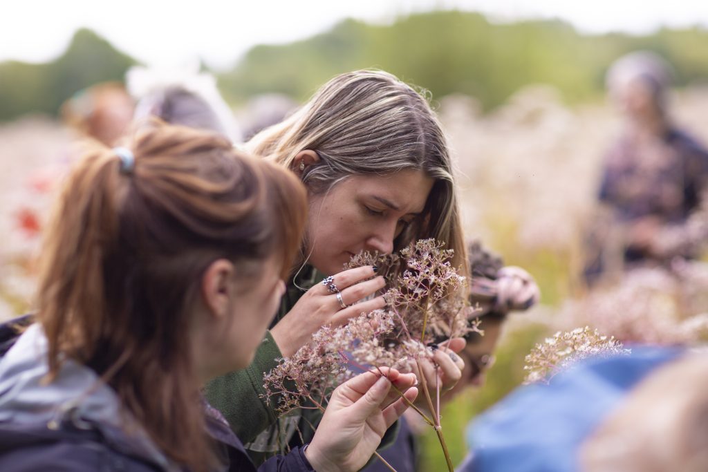 forager smelling Valerian